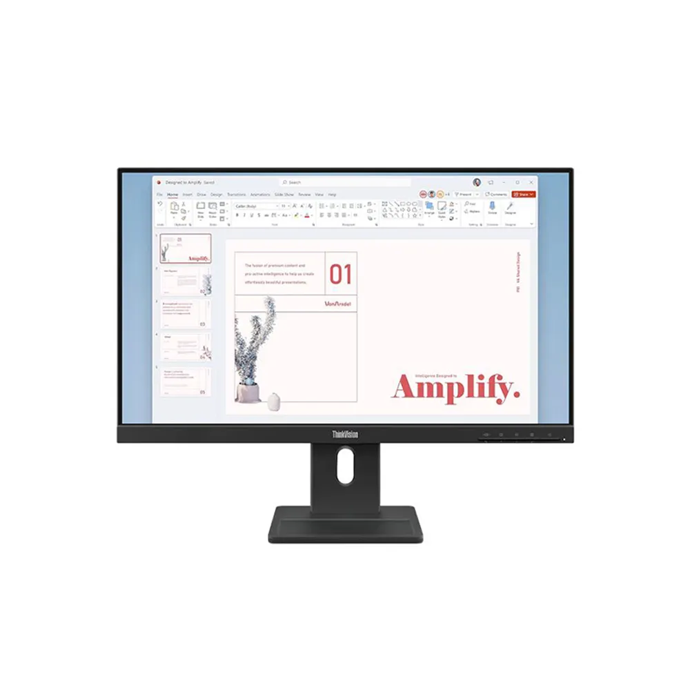 Lenovo Standard 23.8" display